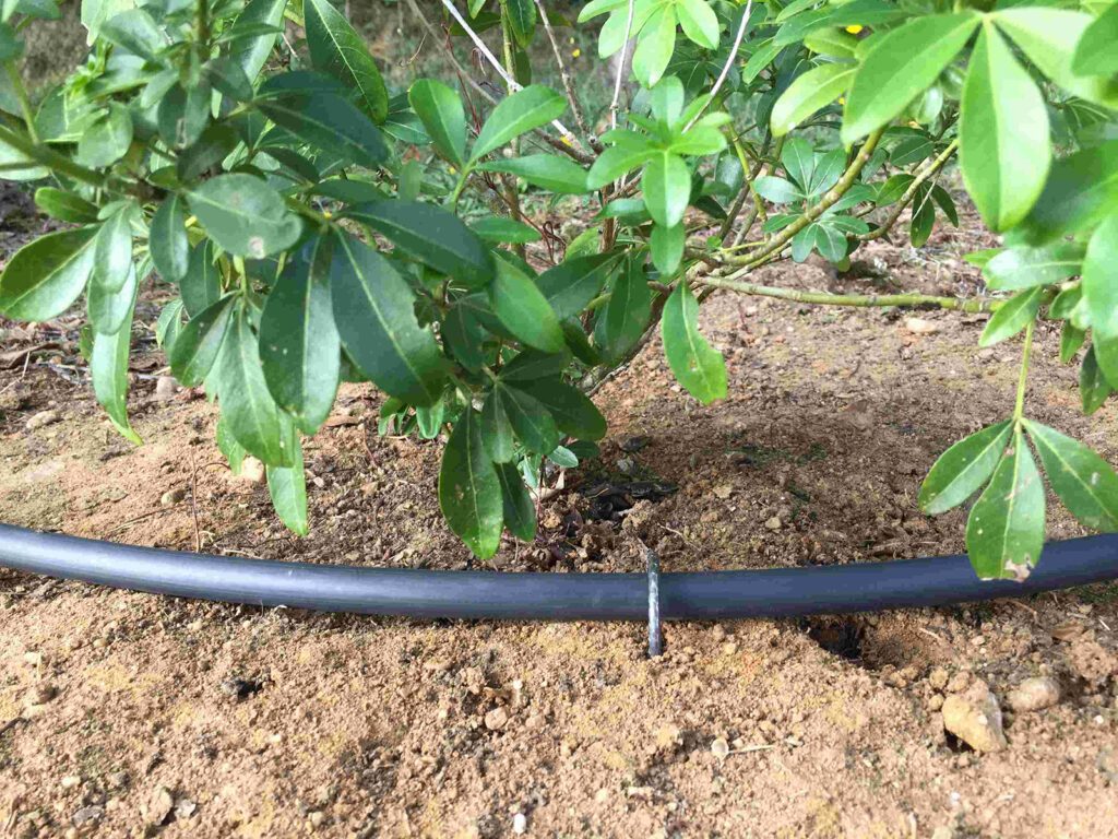 Agrafe Irrigation Plantcosol