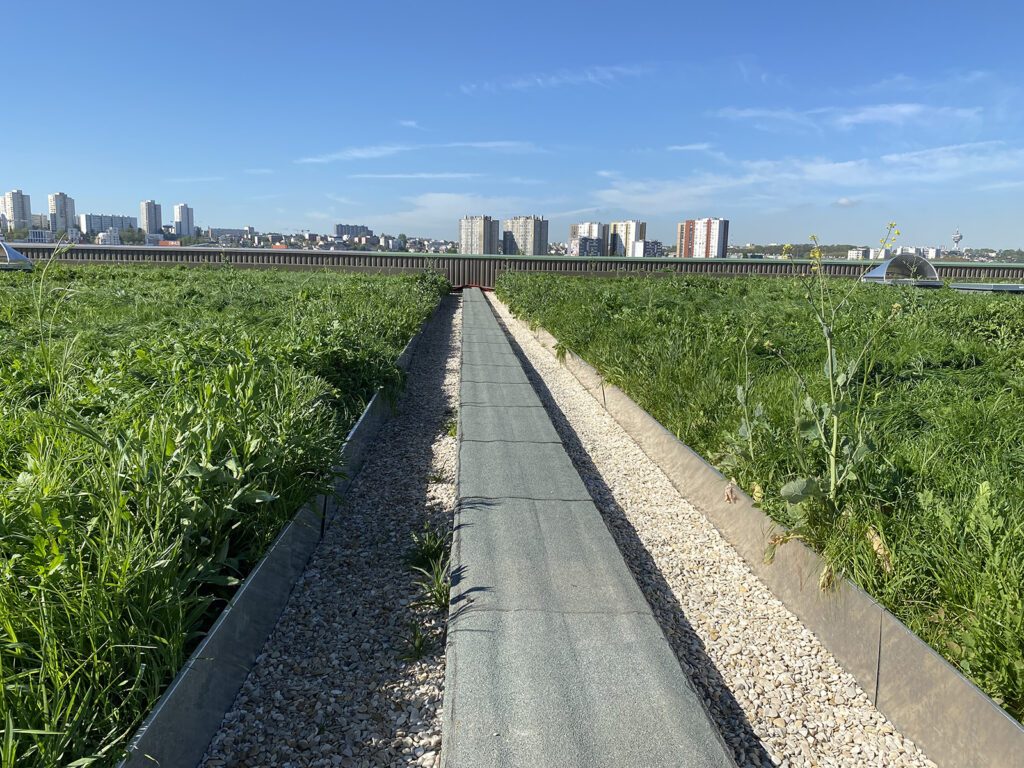 BorderStyle Green Roof