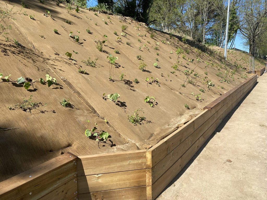 Plantcobio Long Last