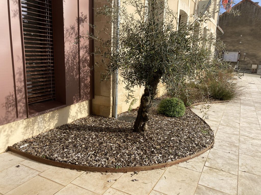 Jardins et allées à Verrières (86)
