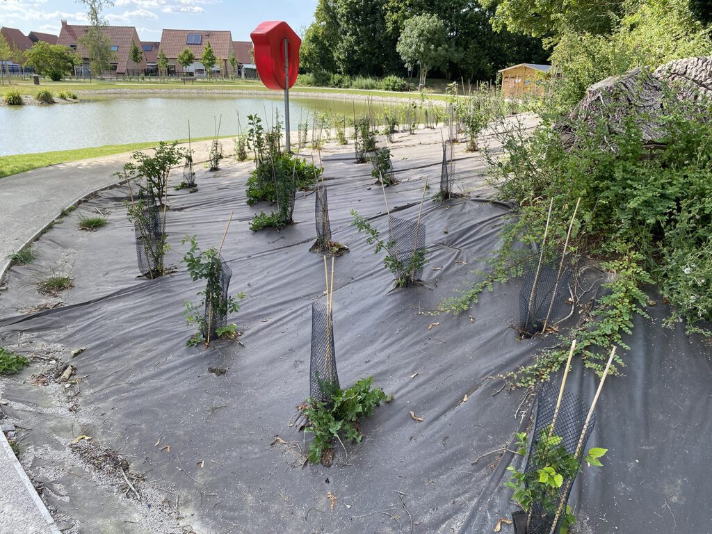 Plan d'eau du Coeur de Ville à Laventie